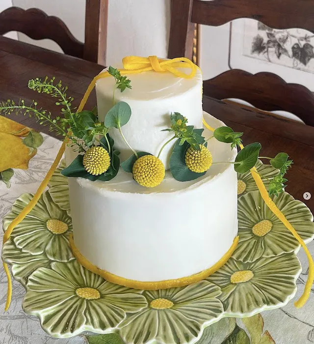 Molly Troedson Cake Studio Picture 4