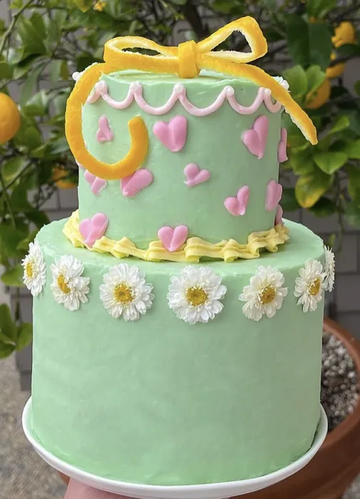 Molly Troedson Cake Studio Picture 6