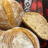 The Big Broad Bearded Bread Man LLC ico