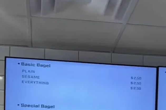 Cloud 9 Bagel