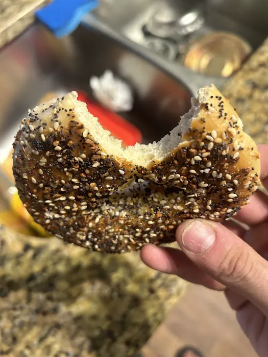 Starship Bagel Picture 6