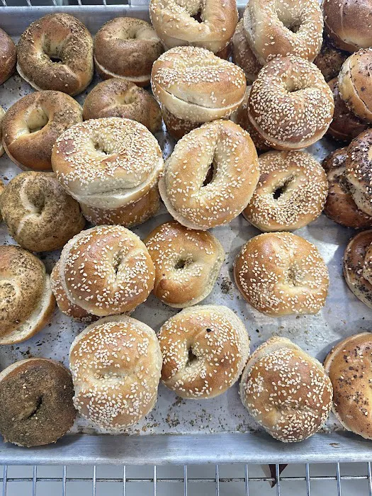 Starship Bagel Picture 7