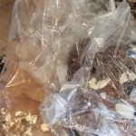 Black Forest Breads LLC