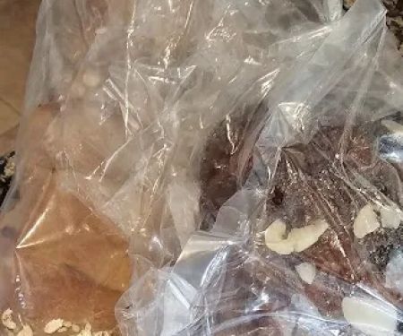 Black Forest Breads LLC