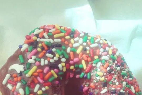 Donut Palace