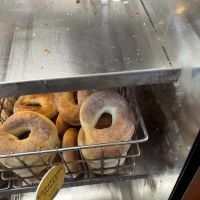 Einstein Bros. Bagels ico