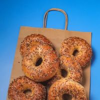 Starship Bagel ico