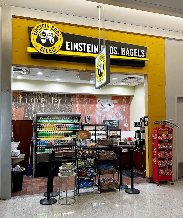 Einstein Bros. Bagels Picture 9