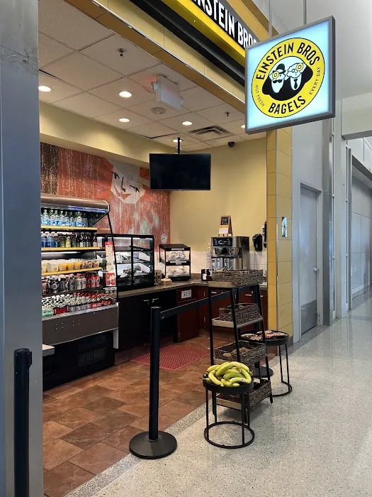 Einstein Bros. Bagels Picture 7