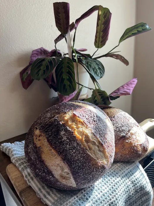 Anya's Bakery Picture 8