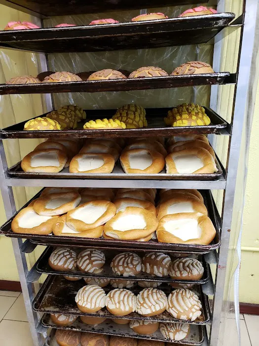 Panaderia Celaya 2 - Bakery Picture 9