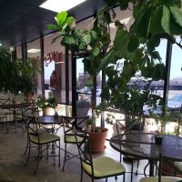 Vie Bakery (formerly Vie a Paris French Bakery) ico