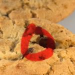 Tiff's Treats Cookie Delivery