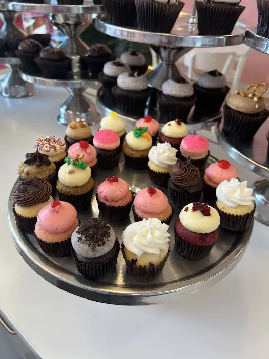 Smallcakes Cupcakery and Creamery Picture 9
