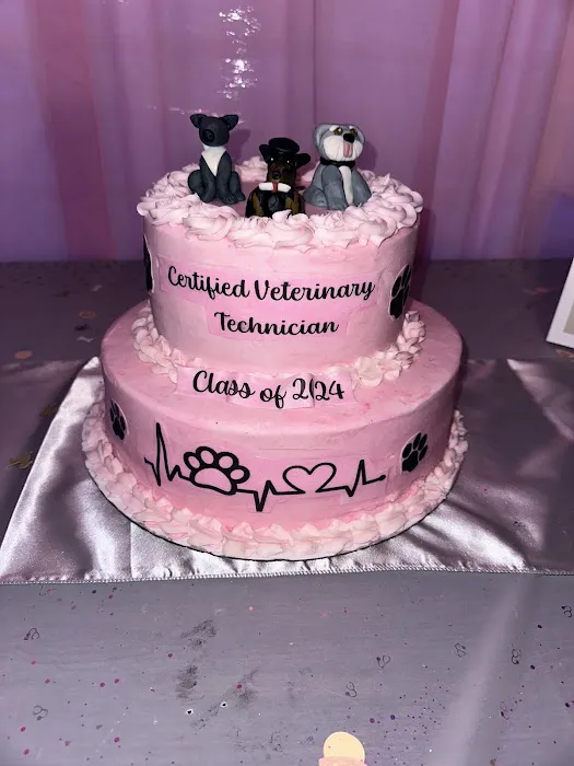 Amazing Occasion Custom Cakes LLC Picture 6