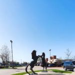 Sunnyvale Donut