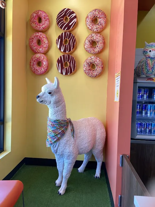 Sugar Llamas Picture 7