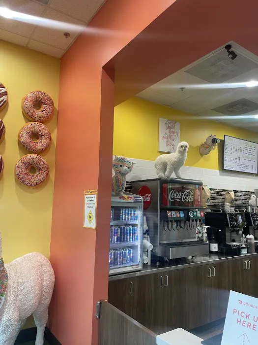 Sugar Llamas Picture 8