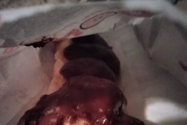 Donut Palace