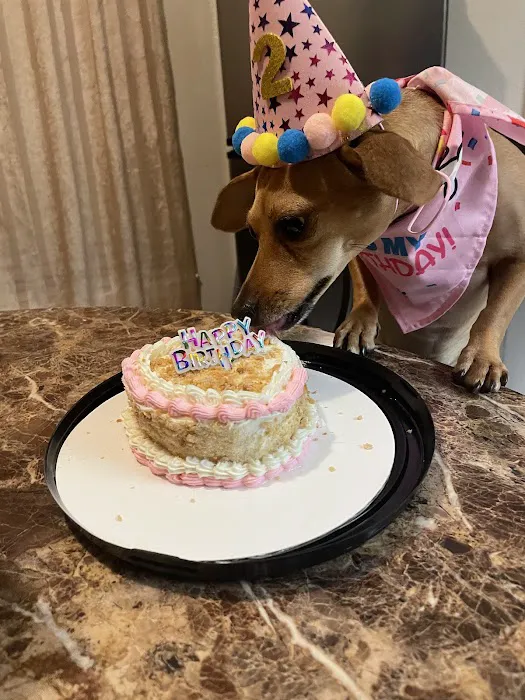 R & B Dog Bakery LLC Picture 2
