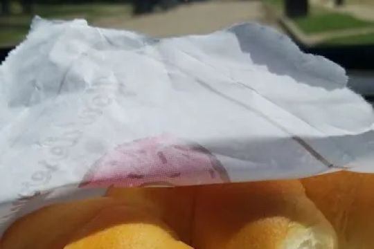 Star Donuts