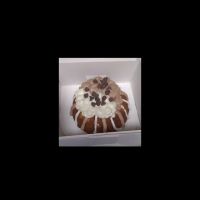 A Taste Of Yummy ico