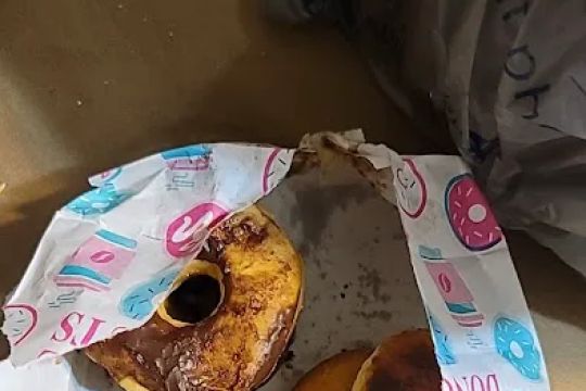 Terry's Donut