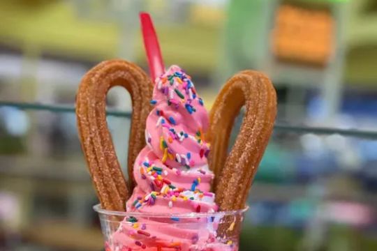 Mr Churro
