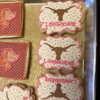 The Sweet Spot Ft Worth ico