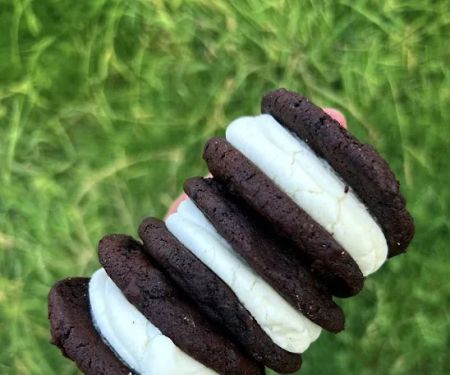 Fort Worth Cookie Gal