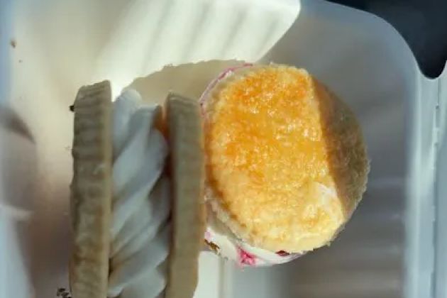 Sweet Lucy's Pies