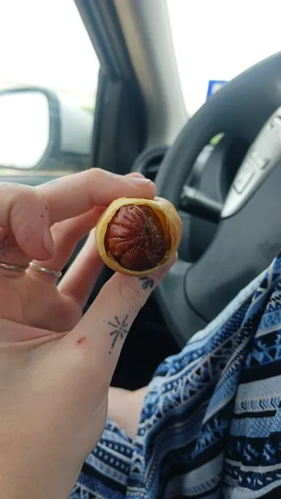Happy Donuts Picture 2