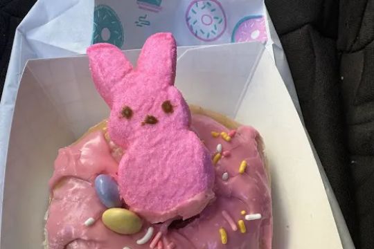 Pioneer Donuts