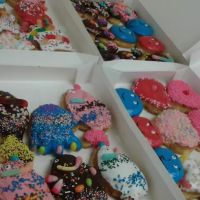 DS DONUTS ico