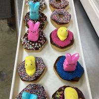 Donuts Etc ico