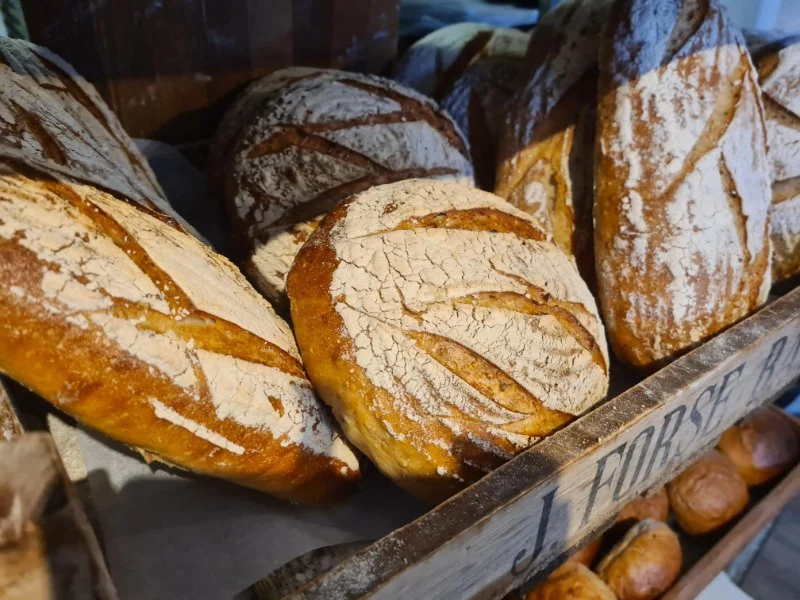 The History of Baking: From Ancient Times to Today