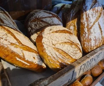 The History of Baking: From Ancient Times to Today