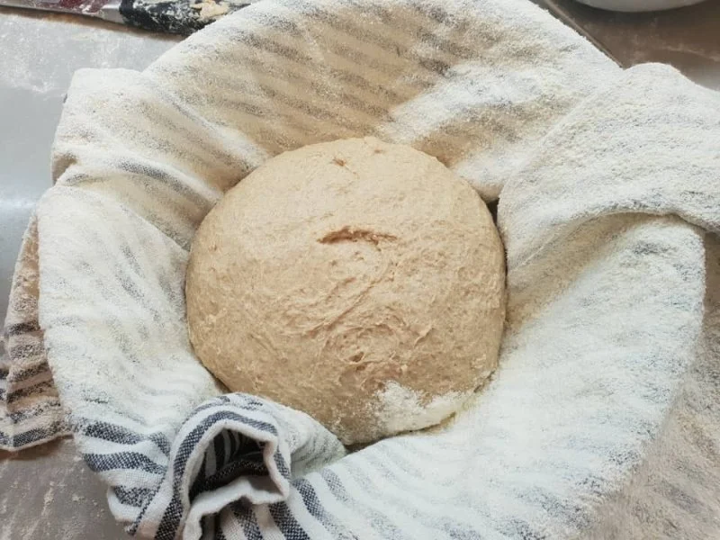 The Science Behind Why Your Bakery Bread Doesn’t Rise and How to Fix It