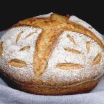 Why Sourdough Bread Is Making a Big Comeback (And How to Make It)